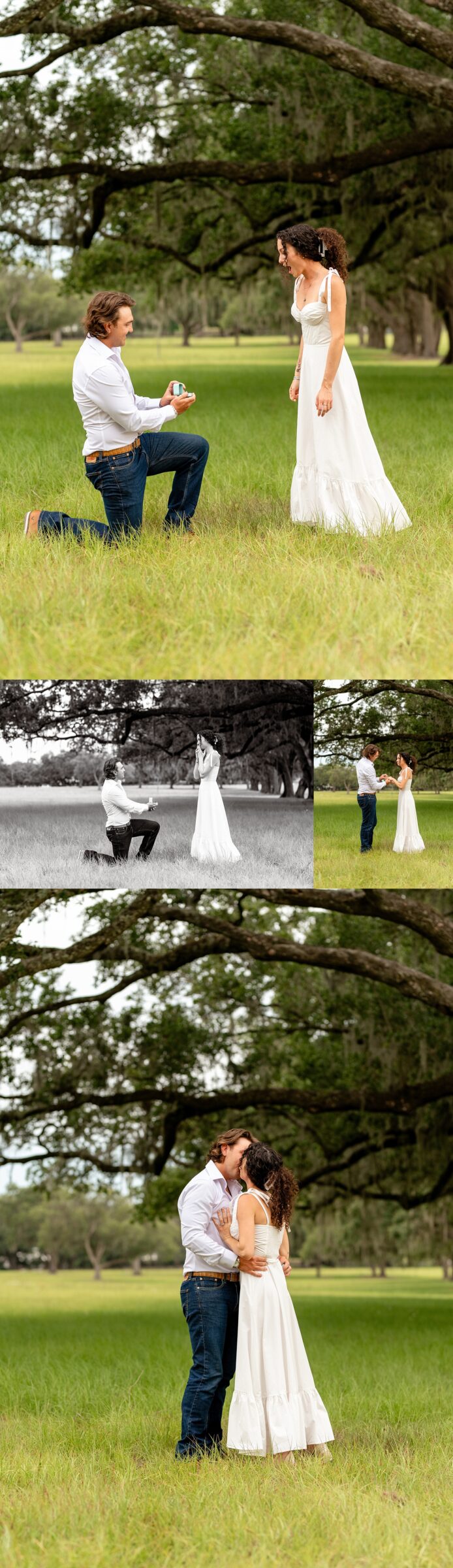 Kasey proposes to Katherine with their two Malinois dogs during a surprise engagement session.