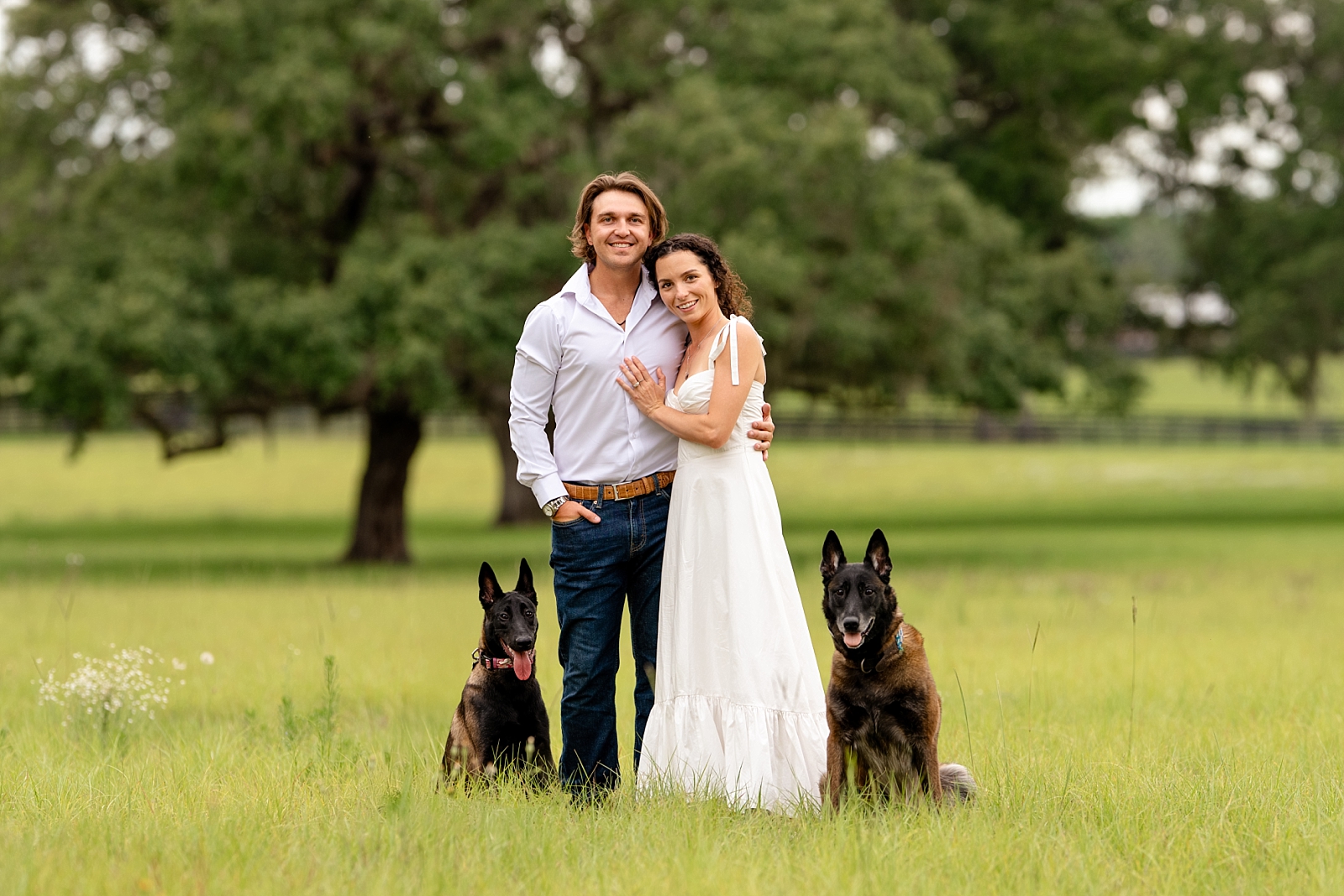 Kasey proposes to Katherine with their two Malinois dogs during a surprise engagement session.