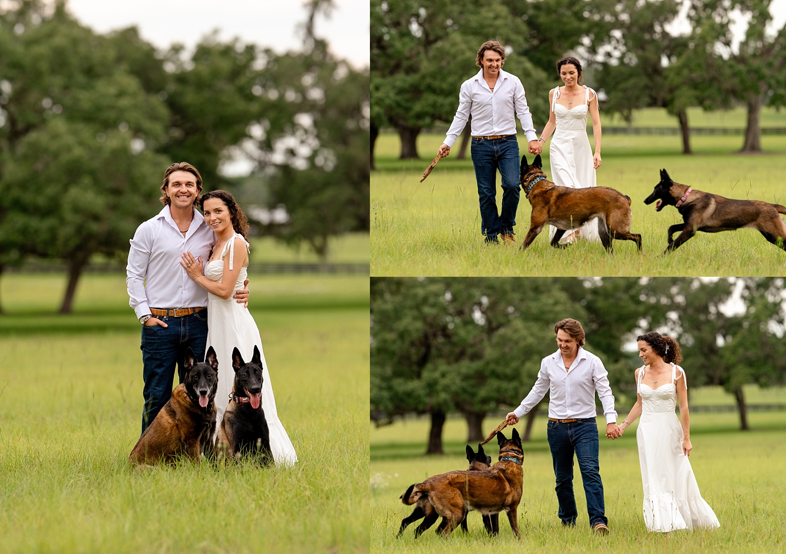Katherine and Kasey smile with their Malinois dogs, Mia and Soka, after getting engaged during their photo session.